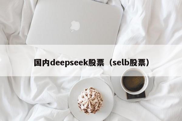 国内deepseek股票（selb股票）