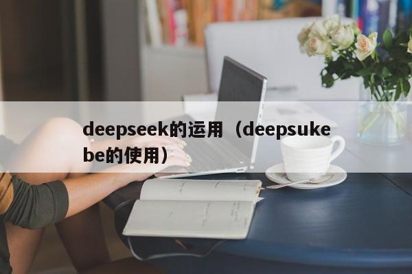 deepseek的运用（deepsukebe的使用）