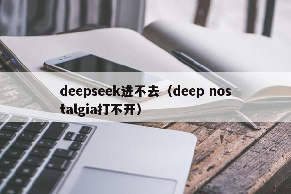 deepseek进不去（deep nostalgia打不开）