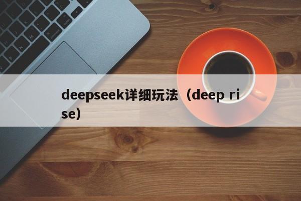 deepseek详细玩法（deep rise）